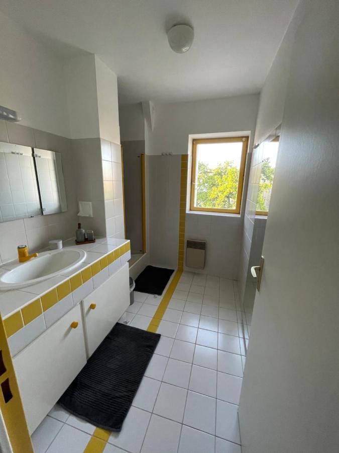 Grand Appartement Hypercentre Avec Terrasse Et Parking Poitiers Zewnętrze zdjęcie