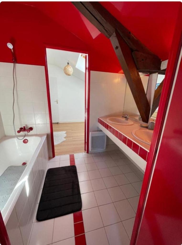 Grand Appartement Hypercentre Avec Terrasse Et Parking Poitiers Zewnętrze zdjęcie